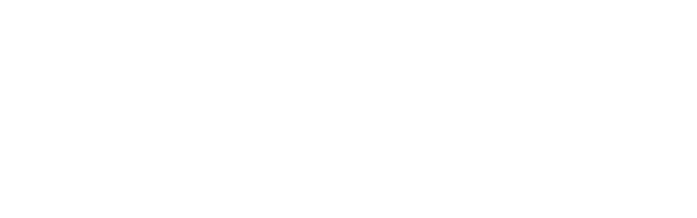 The Next Opulent Model